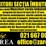Muncitori sectia imbuteliere